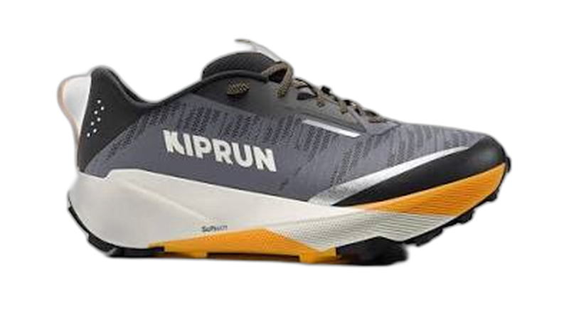 Kiprun Kipsummit