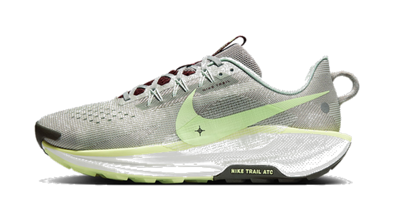 Nike Pegasus Trail 5