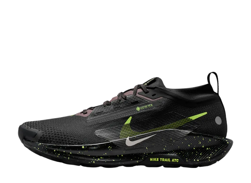Nike Pegasus Trail 5 GTX