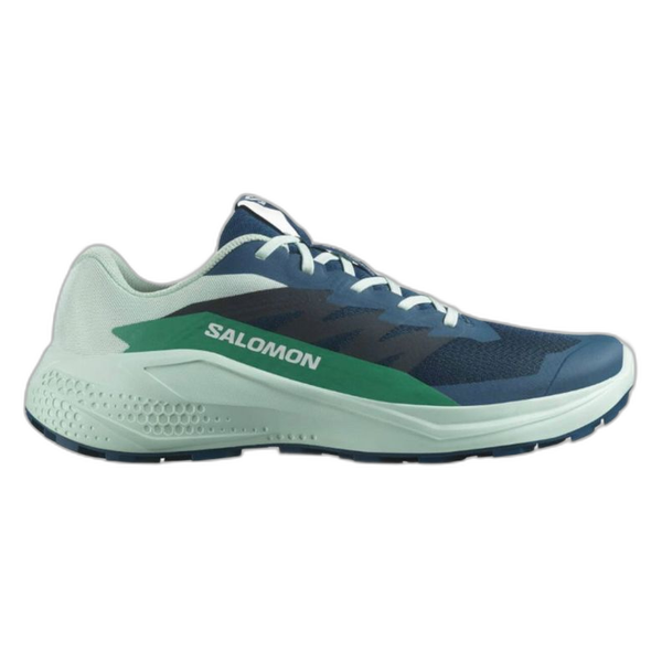 Salomon Alphaglide Gore-Tex